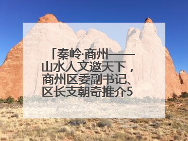 秦岭·商州——山水人文邀天下，商州区委副书记、区长支朝奇推介5个重点招商项目